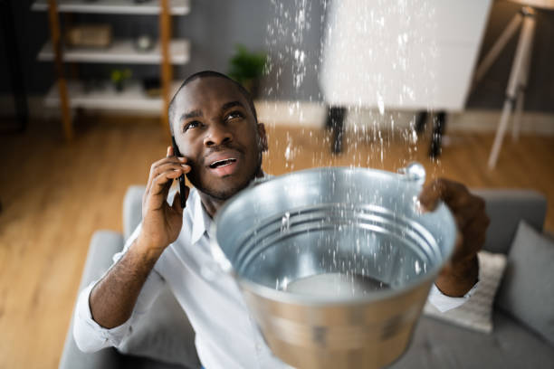 Water damage restoration mold remediation in Riverside, PA