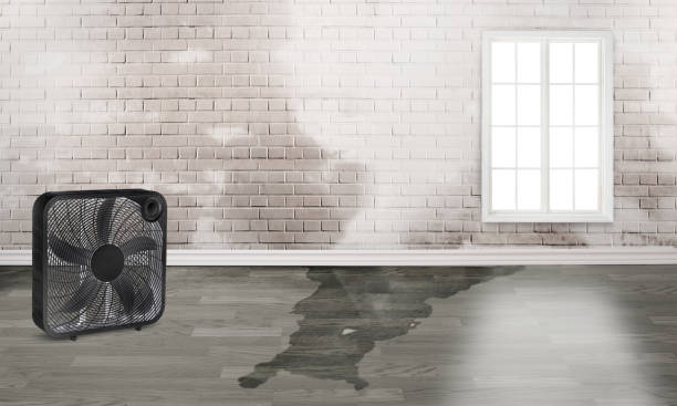 Best Residential water damage restoration  in Riverside, PA