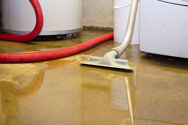 Best Flooded house restoration  in Riverside, PA