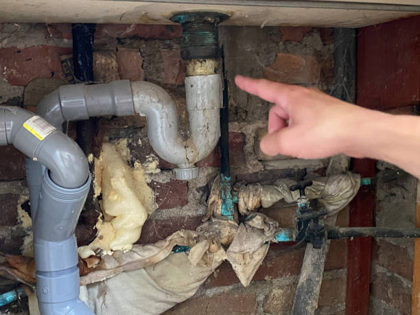 Best Ceiling water damage repair  in Riverside, PA