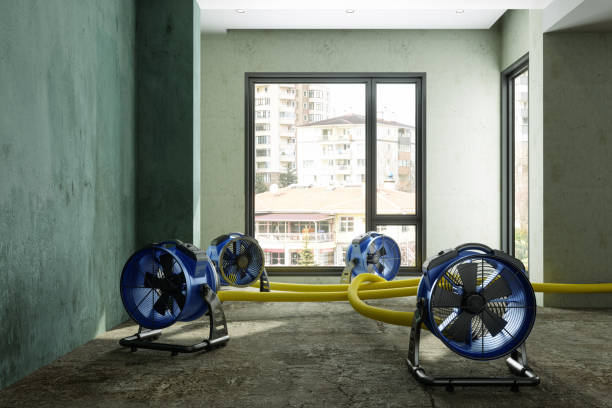 Best 24-hour water damage restoration  in Riverside, PA